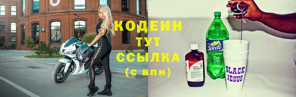 крисы Абаза