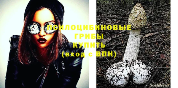 МДПВ Абинск