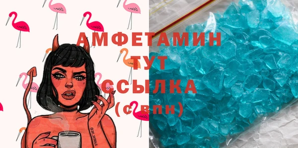 крисы Абаза