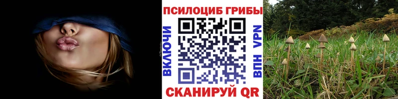 Псилоцибиновые грибы GOLDEN TEACHER  Ялта 