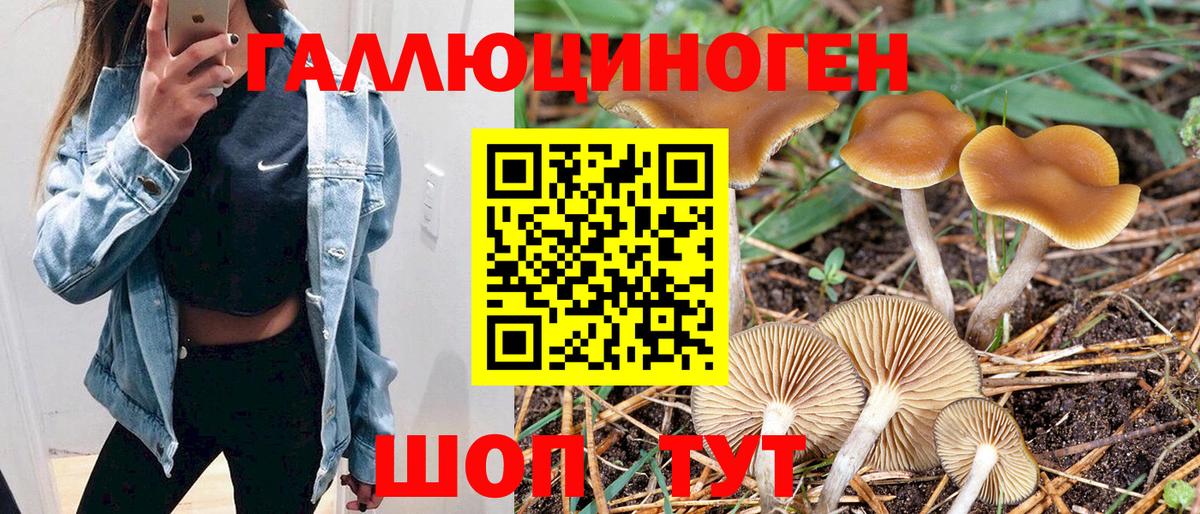 Галлюциногенные грибы MAGIC MUSHROOMS Ялта