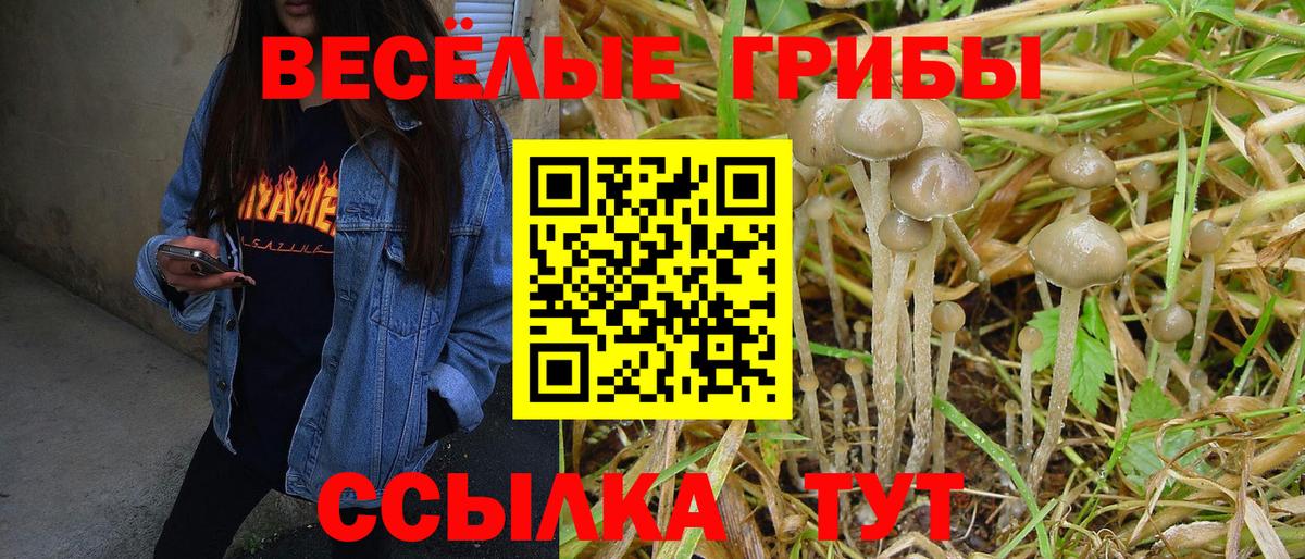 Галлюциногенные грибы мицелий  купить  цена  Ялта  Вход с VPN 